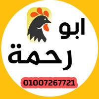 دواجن بلدنا (إدارة أبو رحمه)
